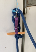 HIT Halter Hang